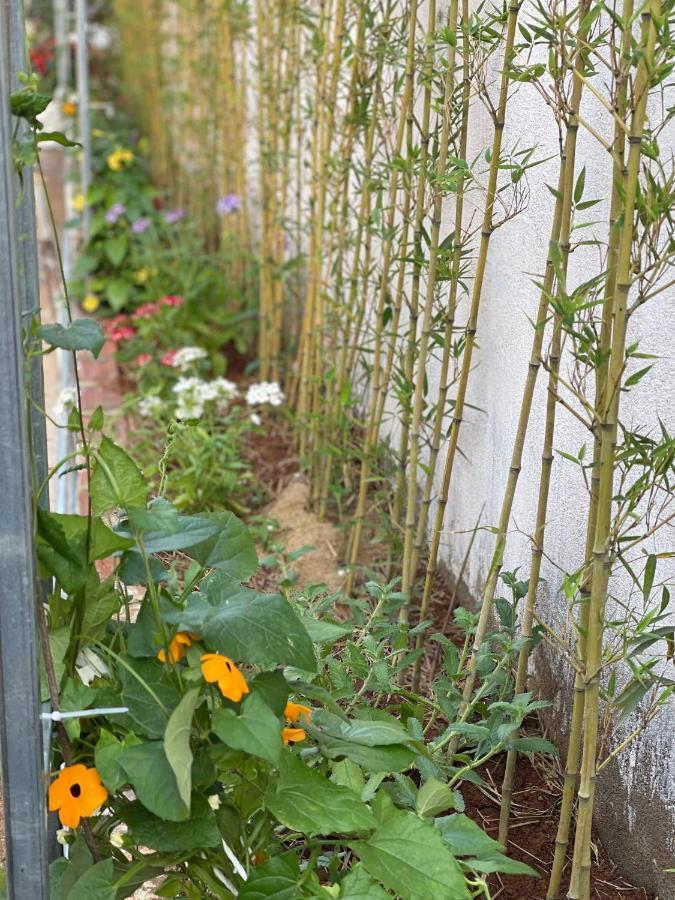 Pleiku Homestay Zewnętrze zdjęcie