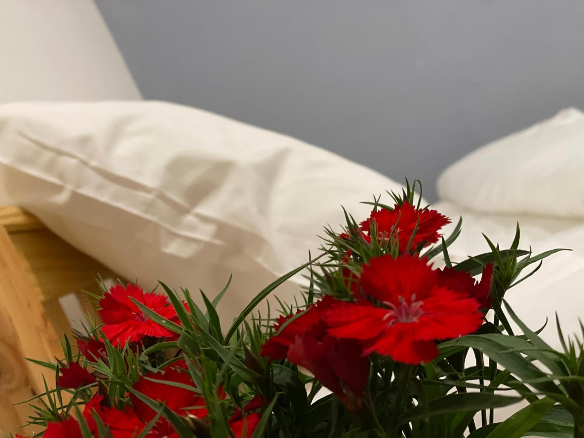 Pleiku Homestay Pokój zdjęcie